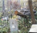 На бесхозном кладбище в Южно-Сахалинске могилы заваливают деревьями (+ ФОТО, ВИДЕО и дополнение)