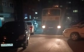 Общество
