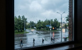 Общество