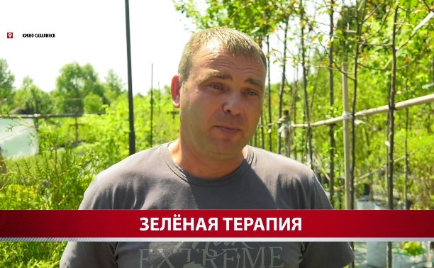 Сахалинский ветеран СВО планирует разводить пчёл и продавать высококачественный мёд