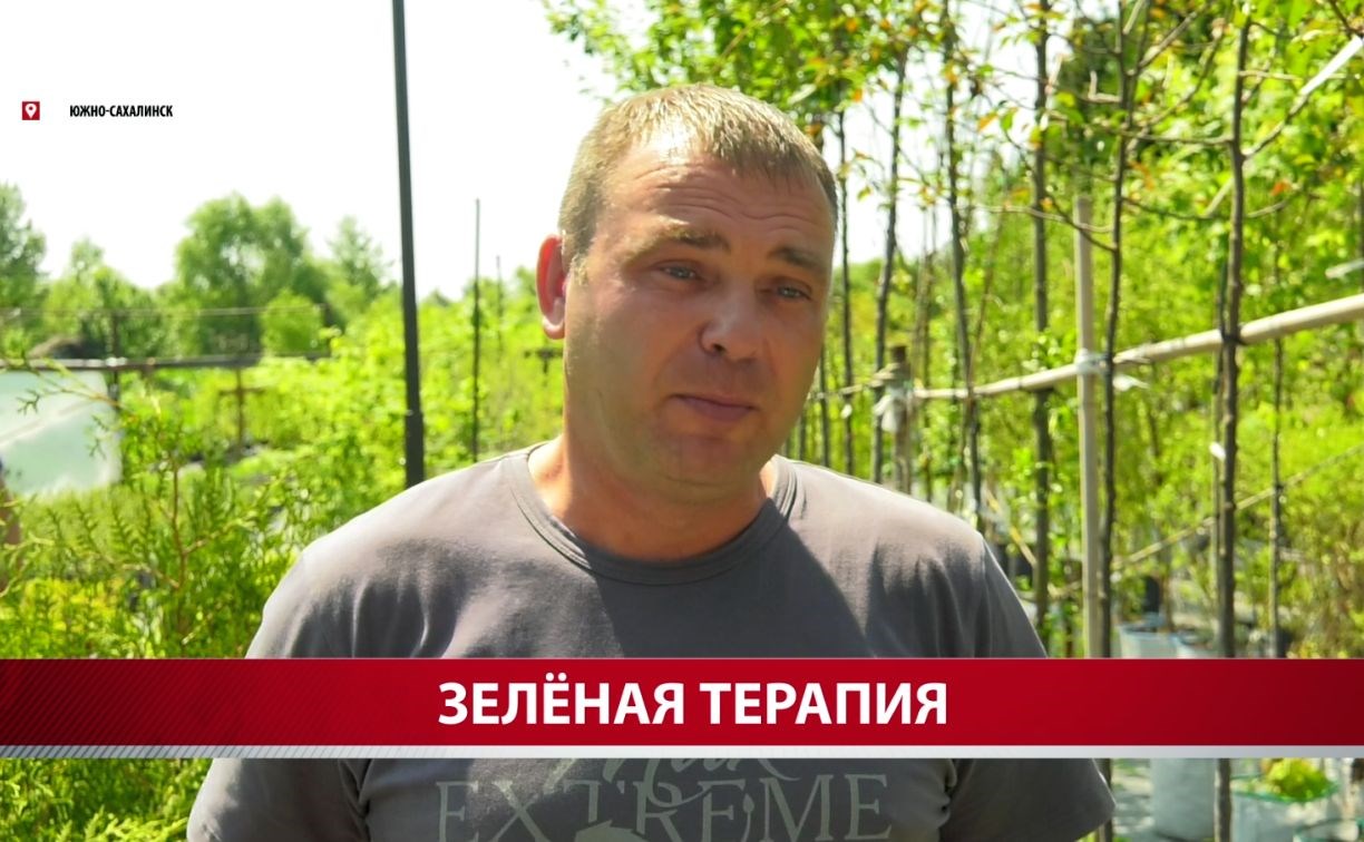 Сахалинский ветеран СВО планирует разводить пчёл и продавать высококачественный мёд