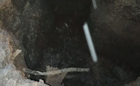 Происшествия