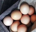 Импортные яйца так и не попали на прилавки магазинов в России
