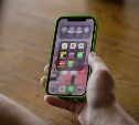 На Сахалине увеличился спрос на смартфоны с большой памятью