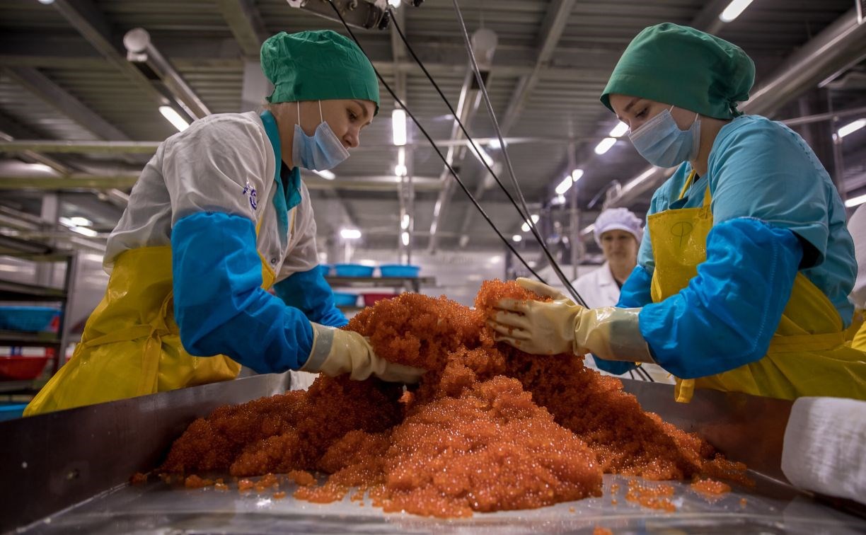 "Дефицита не будет": производство красной икры выросло в России в три раза