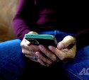 Россиянам могут запретить "тапать хомяка"