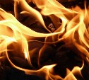 С 15 апреля в Сахалинской области начнётся пожароопасный сезон 
