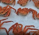 "Ущерб составил 1,3 млн": крабовых браконьеров задержали на Сахалине 