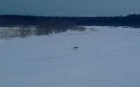 Происшествия