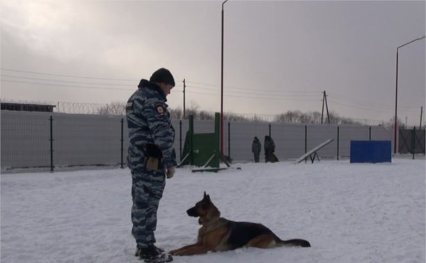 В Южно-Сахалинске открылся новый кинологический центр служебного собаководства