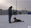 В Южно-Сахалинске открылся новый кинологический центр служебного собаководства