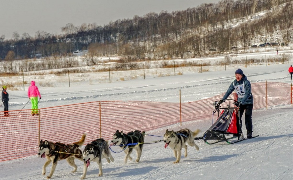 В гонках на собачьих упряжках приняли участие 27 команд со всего Сахалина