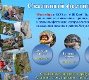 Сахалинцев приглашают на скальный фестиваль