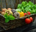 Садоводческие и огороднические объединения Южно-Сахалинска могут получить субсидии 
