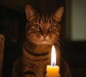 Массовые отключения света на Сахалине продлятся до пятницы, 4 июля