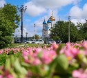 В Южно-Сахалинске в этом году высажено уже более 400 тысяч цветов