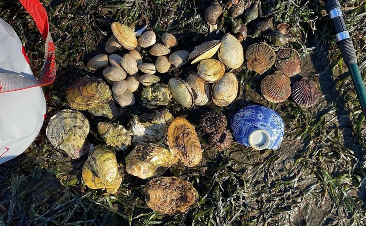Тарелку времён Карафуто нашла сахалинка во время сборов деликатесов на побережье