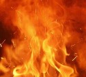 В Чапаево на берегу Комиссаровки горел мусор