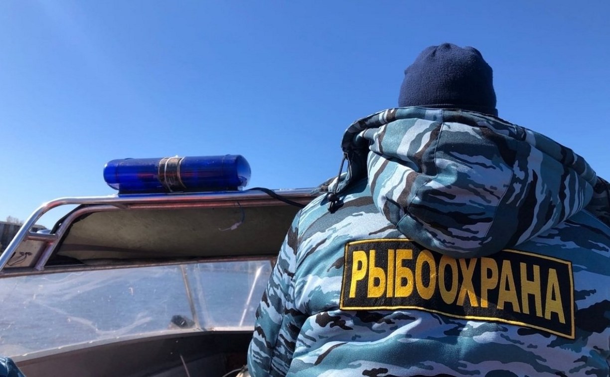 На Сахалине за неделю нашли 63 нарушения в области рыболовства 