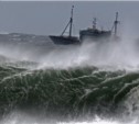 Самый мощный за несколько десятилетий тайфун "Неогури" надвигается на Сахалин с Японии
