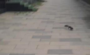 Общество