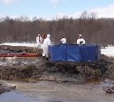 На месте нефтеразлива на Сахалине выставили защиту: сколько уйдёт на ликвидацию