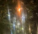 Уличная гирлянда в Южно-Сахалинске едва не спалила дерево