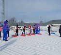 Сахалинцев на "Лыжню России" в Троицкое отвезут на бесплатных автобусах 