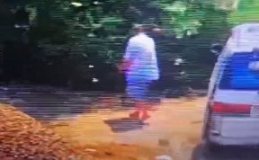 Общество