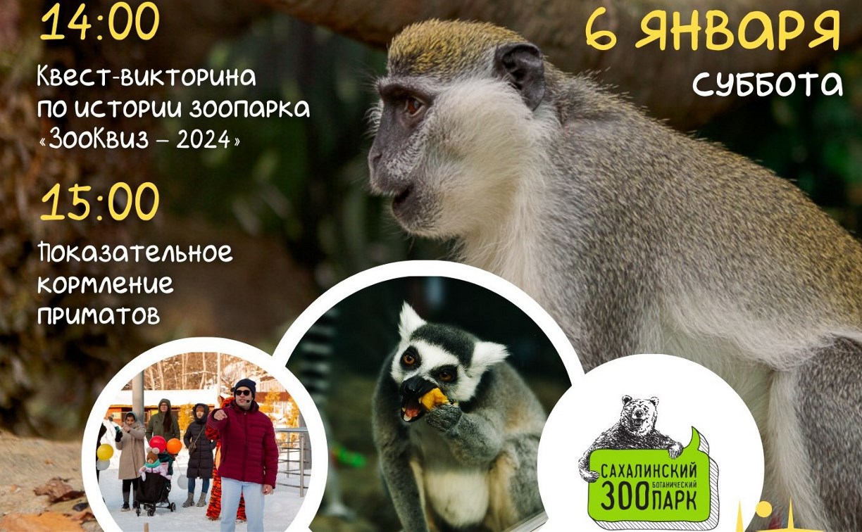 На "ЗооКвиз – 2024" и показательное кормление приматов приглашают сахалинцев 