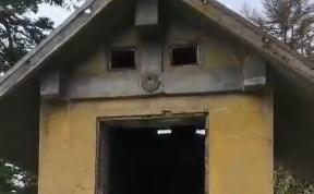 Общество