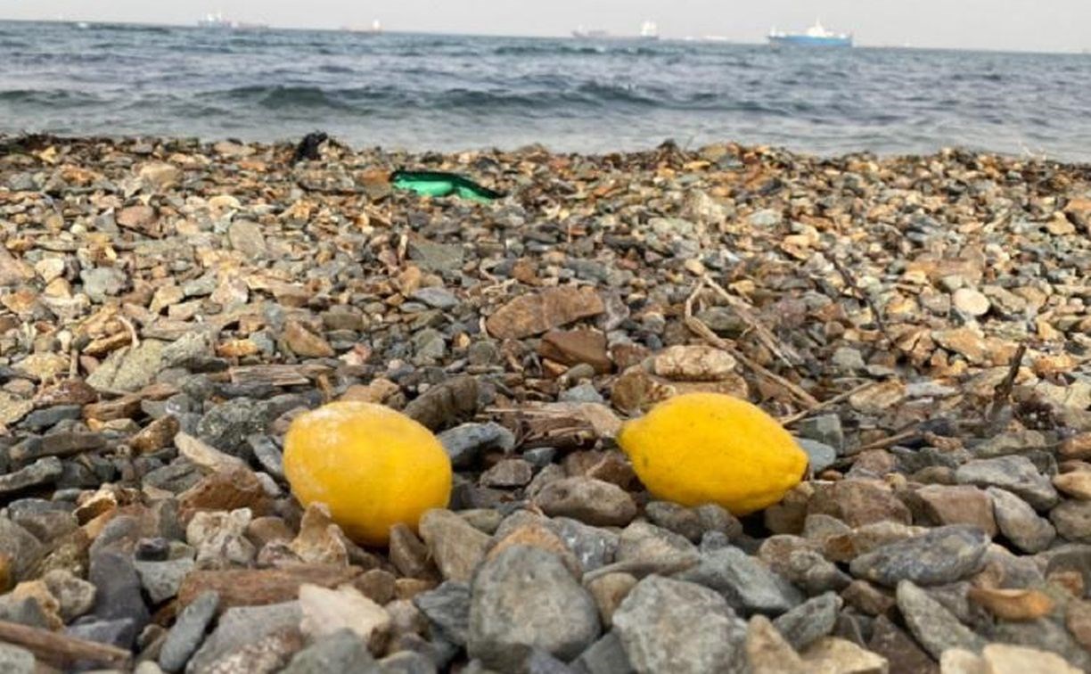 На пляж во Владивостоке море выбросило лимоны