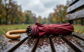 Общество