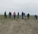 Возле Песчанского добровольцы прибрались на берегу моря