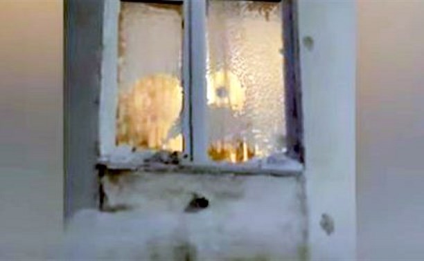 Маленького котёнка ночью в метель хозяева выставили за окно второго этажа на Сахалине
