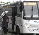 В Южно-Сахалинске в 2022 году введут 7,5 километра выделенных полос для автобусов