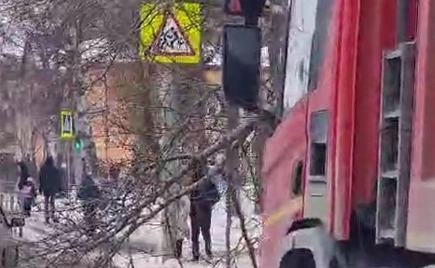 В Южно-Сахалинске дерево упало на грузовик