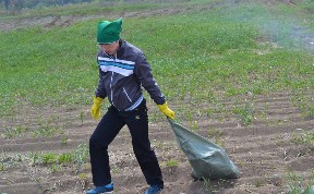 Общество
