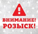 Следователи Александровска-Сахалинского просят помощи в розыске несовершеннолетней
