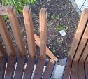 Подростки-вандалы, сломавшие дерево и скамейку в Корсакове, попали на видео 