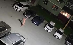 Общество