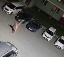 "Господи, помилуй": в Новотроицком сахалинец по ночам ходит голым по двору и громко просит о пощаде