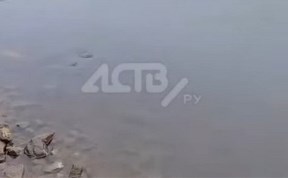 Происшествия