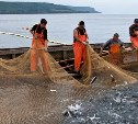 На Сахалине впервые за два года собрался рыбохозяйственный совет