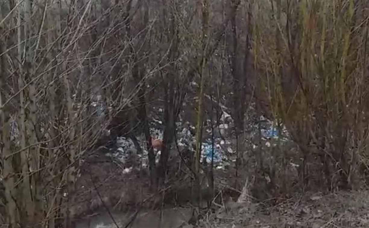 Берег речки в Тымовском завалили мусором