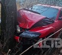 Спорткар вылетел с дороги и врезался в дерево в районе Мицулёвки