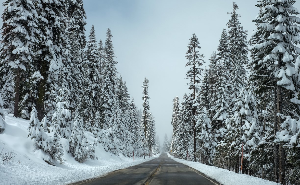 Дорогу открыли на Сахалине после метели