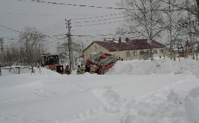 Общество