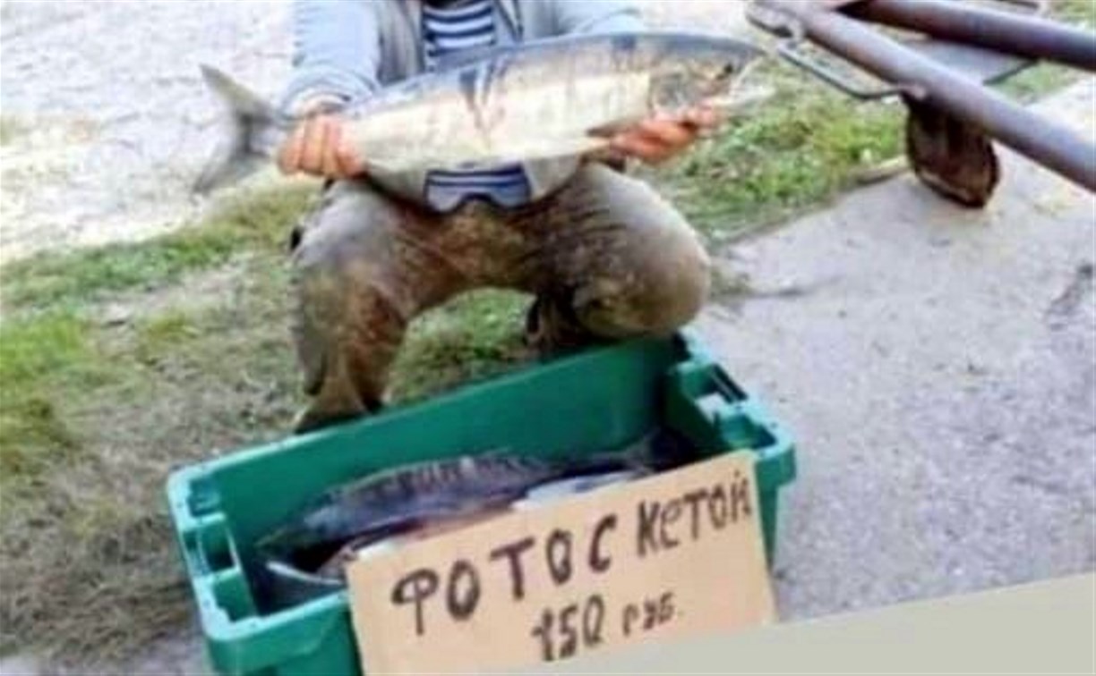 "Новый бизнес": на Сахалине предлагают сделать фотографию с кетой за 150 рублей