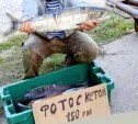 "Новый бизнес": на Сахалине предлагают сделать фотографию с кетой за 150 рублей